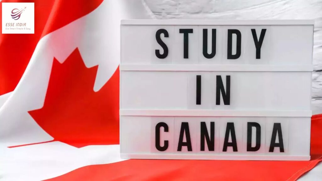 IRCC Approves 292,000 Permits for College and Undergraduate Students: A Boon for Canada's Education Sector