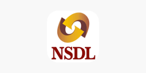 NSDL governance infrastructure